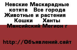 Невские Маскарадные котята - Все города Животные и растения » Кошки   . Ханты-Мансийский,Мегион г.